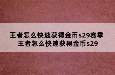 王者怎么快速获得金币s29赛季 王者怎么快速获得金币s29